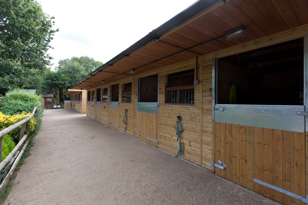 New Barn Stables offers additional horse services for your comfort.